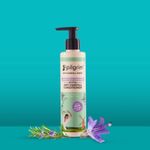 Buy Pilgrim Rosemary & Biotin Duo (Shampoo 200 ml + Conditioner 200 ml) - Purplle
