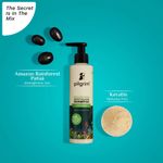 Buy Pilgrim Hair Care Kit (Patua Shampoo 200 ml + Redensyl Hair Growth Serum 50 ml) - Purplle