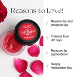 Buy Nourish Mantra Rose Repair Lip Balm with Shea Butter & Vitamin E for Dry, Chapped and Dark Lips - 12gm - Purplle