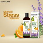 Buy GOODCARE Ayurvedic Stress Guard Massage Oil For Ultimate Stress Reliever 100 ml - Purplle