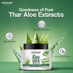 Buy GOODCARE Ayurvedic Aloevera Gel For Ultimate Hydration & Moisturizing 300ml - Purplle