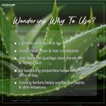 Buy GOODCARE Ayurvedic Aloevera Gel For Ultimate Hydration & Moisturizing 300ml - Purplle