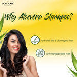 Buy GOODCARE Aloe Vera Shampoo Ayurvedic Formula For Shiny and Smooth Hair 200ml - Purplle
