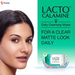 Buy Lacto Calamine Daily Cleansing Wipes (25 wipes) - Pack of 2 - Purplle