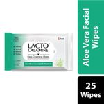 Buy Lacto Calamine Daily Cleansing Wipes (25 wipes) - Pack of 2 - Purplle
