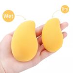 Buy ONE on ONE Mango Shape Makeup Blender Sponge Puff (Color May Vary) - Pack of 1 - Purplle