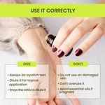 Buy Alps Goodness Rosemary Revive Kit I Rosemary Water Spray+Rosemary Essential Oil+Scalp Massager I Hair Growth Expert I For Skin & Hair I Improves Scalp Health I Fights Acne ,Combo of 3 - Purplle