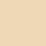 Buy RENEE Face Base Serum Foundation -06 Chic, Sheer Coverage, Dewy & Seamless Finish, Hydrates, Nourishes & Protects, Gives Healthy, Radiant Skin, Vitamin C, Hyaluronic Acid & SPF 15 Infused, 25 ml - Purplle