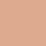 Buy RENEE Face Base Serum Foundation -08 Posh, Sheer Coverage, Dewy & Seamless Finish, Hydrates, Nourishes & Protects, Gives Healthy, Radiant Skin, Vitamin C, Hyaluronic Acid & SPF 15 Infused, 25 ml - Purplle