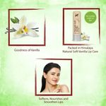 Buy Himalaya Herbals Natural Soft Vanilla Lip Care (4.5 gm) - Purplle