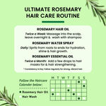 Buy Alps Goodness Rosemary Hair Oil (105 ml) | Promotes Hair Growth | Non Sticky Hair Oil | 100% Natural | With 5% Pure & Concentrated Rosemary | For Long, Black & Silky Hair | Best Rosemary Oil for Scalp | Relaxing Oil - Purplle