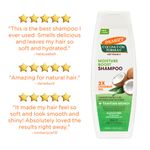 Buy Palmer's Coconut Oil Conditioning Shampoo 400ml - Purplle