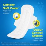 Buy Stayfree Secure Cottony Extra Large 40 S - Purplle