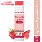 Buy Wishcare Sun Protection Duo (SPF50 Lip Balm 5gm + Sunscreen 50gm) - Purplle