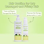 Buy Wishcare Triple Bond Duo (Shampoo 250 ml + Conditioner 100 ml) - Purplle