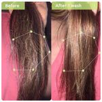 Buy Wishcare Triple Bond Duo (Shampoo 250 ml + Conditioner 100 ml) - Purplle