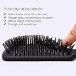 Buy Ronzille Paddle Hair Brush For Hair Styling Multicolor ,1 Pc - Purplle