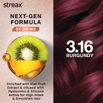 Buy Streax Gel Hair Colour for women, Burgundy 3.16 , 150 ml |No ammonia hair color|100% grey coverage - Purplle
