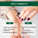 Buy Alps Goodness Anti Hairfall Monthly Care Combo (Pack of 3) with Anti Hairfall Shampoo (500 ml), Rosemary Water Spray (305 ml) & Rosemary essential oil (10 ml) I Hair Growth Experts I For thicker stronger hair - Purplle