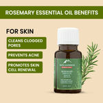 Buy Alps Goodness Rosemary Hair Growth Pro Kit (Pack of 3) | Rosemary & Curry Leaf Powder (50 gm), Rosemary Water (100 ml) & Rosemary Essential Oil (10 ml) | Thick-Long Hair | Face & Hair Mask - Purplle