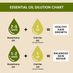 Buy Alps Goodness Rosemary Hair Growth Pro Kit (Pack of 3) | Rosemary & Curry Leaf Powder (50 gm), Rosemary Water (100 ml) & Rosemary Essential Oil (10 ml) | Thick-Long Hair | Face & Hair Mask - Purplle