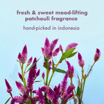 Buy Love Beauty & Planet Onion  Black Seed & Patchouli Hairfall Control Shampoo + Conditioner  200 ml - Purplle