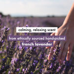 Buy Love Beauty & Planet Natural Argan Oil and Lavender Anti-Frizz  Smoothening Shampoo & Conditioner Combo  400 ml - Purplle