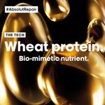 Buy L'Oreal Professionnel Serie Expert Absolut Repair Shampoo + Mask Combo Provides Deep Conditioning & Strength (300 ml + 250 gm) - Purplle