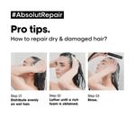 Buy L'Oreal Professionnel Serie Expert Absolut Repair Shampoo + Mask Combo Provides Deep Conditioning & Strength (300 ml + 250 gm) - Purplle