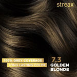 Buy Streax Hair Serum vitalised with Walnut Oil + Streax Hair Colour- Golden Blonde (100 ml + 120 ml) - Purplle