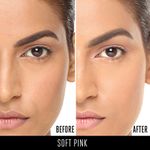 Buy Lakme Forever Matte Face Powder | Matte Finish |Oil Control for rosy glow | Soft Pink | 40g - Purplle
