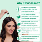 Buy Aravi Organic 100 % Pure And Natural Rosemary Essential Oil for Hair Growth, Hair Fall Control, Hair Nourishment & Strengthens And Skin Care - Rosemary Oil for Women and Men - 30 ml - Purplle