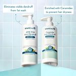 Buy WishCare Hydrating AHA BHA Anti Dandruff Shampoo -Piroctone Olamine, Salicylic Acid, LHA, Probiotics - 250 ml - Purplle