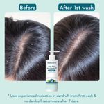 Buy WishCare Hydrating AHA BHA Anti Dandruff Shampoo -Piroctone Olamine, Salicylic Acid, LHA, Probiotics - 250 ml - Purplle