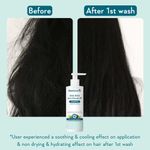 Buy WishCare Hydrating AHA BHA Anti Dandruff Shampoo -Piroctone Olamine, Salicylic Acid, LHA, Probiotics - 250 ml - Purplle