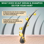 Buy Alps Goodness Anti Hairfall solution Combo | Fenugreek Biotin & Redensyl Anti Hairfall Shampoo (290 ml) | Anti Hairfall Scalp Serum with Fenugreek Biotin and Redensyl (30 ml) - Purplle