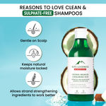 Buy Alps Goodness Anti Frizz Combo with Coconut, Argan Oil & Hyaluronic Acid Powered Shampoo (290 ml), Conditioner (200 ml) & Hair Mask (175 gm) - Purplle