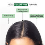 Buy Alps Goodness Anti Frizz Combo with Coconut, Argan Oil & Hyaluronic Acid Powered Shampoo (290 ml), Conditioner (200 ml) & Hair Mask (175 gm) - Purplle