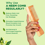 Buy Alps Goodness Nourishing Growth Power Pack with Rosemary Hairl Oil (110 ml) & 100% Natural Neem Wood Comb | Hair Growth Kit | Scalp Health - Purplle