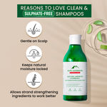 Buy Alps Goodness Antidandruff Trio (Pack of 3) with Anti Dandruff Shampoo (290 ml), Anti Dandruff Scalp Serum (30 ml) & Scalp Massager I For Healthy Scalp I Cleansing Hair Care Set - Purplle