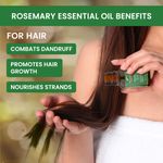 Buy Alps Goodness Strengthen & Revive Set (Pack of 2) with Castor Oil (100ml) & Rosemary Essential Oil (10ml) | Thich Long Hair Growth | Added shine & thickness - Purplle