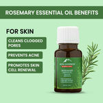 Buy Alps Goodness Rosemary Revive Kit I Rosemary Water Spray (100 ml) + Rosemary Essential Oil (10 ml) + Scalp Massager I Hair Growth Expert I For Skin & Hair I Fights Acne I Improves Scalp Health - Purplle