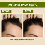Buy Alps Goodness Rosemary Hair Growth Pro Kit (Pack of 3) | Rosemary & Curry Leaf Powder (50 gm), Rosemary Water (100 ml) & Rosemary Essential Oil (10 ml) | Thick-Long Hair | Face & Hair Mask - Purplle