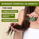 Buy Alps Goodness Rosemary Hair Growth Pro Kit (Pack of 3) | Rosemary & Curry Leaf Powder (50 gm), Rosemary Water (100 ml) & Rosemary Essential Oil (10 ml) | Thick-Long Hair | Face & Hair Mask - Purplle