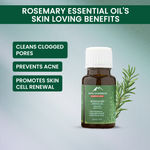 Buy Alps Goodness Anti Hairfall Monthly Care Combo with Anti Hairfall Shampoo, Rosemary Water Spray & Rosemary essential oil I Hair Growth Experts I For thicker stronger hair| Hair Care Kit ,Combo of 3 - Purplle