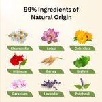 Buy Aroma Treasures Chamomile vitamin e soothing and moisturising lotion suitable for all skin types - 100 ml - Purplle