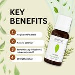 Buy Aroma Treasures Tea Tree essential oil 100% Pure, multipurpose essential oil for acne, hair, skin, body, dandruff (10 ml) - Purplle