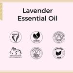 Buy Aroma Treasures 100% Pure & Natural Lavender Essential oil for healthy Skin/body & mind - 10 ml - Purplle