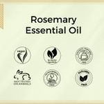 Buy Aroma Treasures Rosemary essential oil for hair growth, Skin & aromatherapy | 100% pure essential oil - 10 ml - Purplle