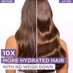 Buy L'Oreal Paris Hyaluron Moisture 72H Moisture Sealing Conditioner| For Dry & Dehydrated Hair, 386 ml - Purplle